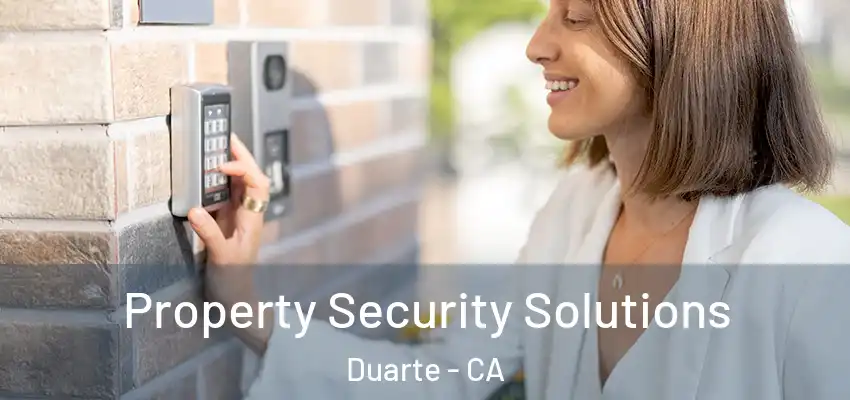  Property Security Solutions Duarte - CA